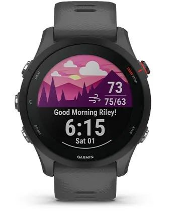 Часы Garmin Forerunner 255 Slate Gray 010-02641-10