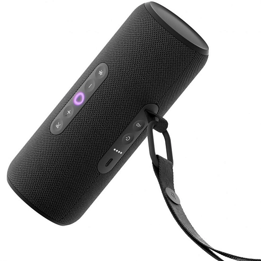 Умная портативная колонка Яндекс Станция Стрит, черный