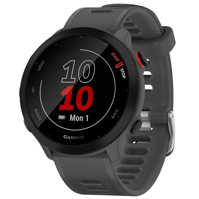 Часы Garmin Forerunner 55 Grey 010-02562-13