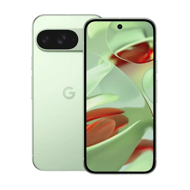 Смартфон Google Pixel 9 12/128Gb Wintergreen (Зелёный)