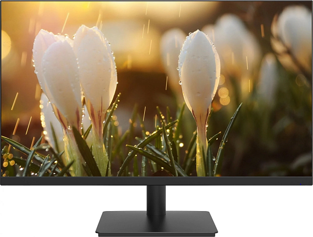Монитор Dahua DHI-LM24-A201A 23,8″, IPS, 1920×1080, 100 Гц, чёрный